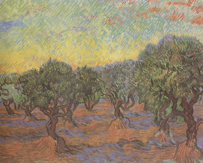 Olive Grove:Orange Sky (nn04)